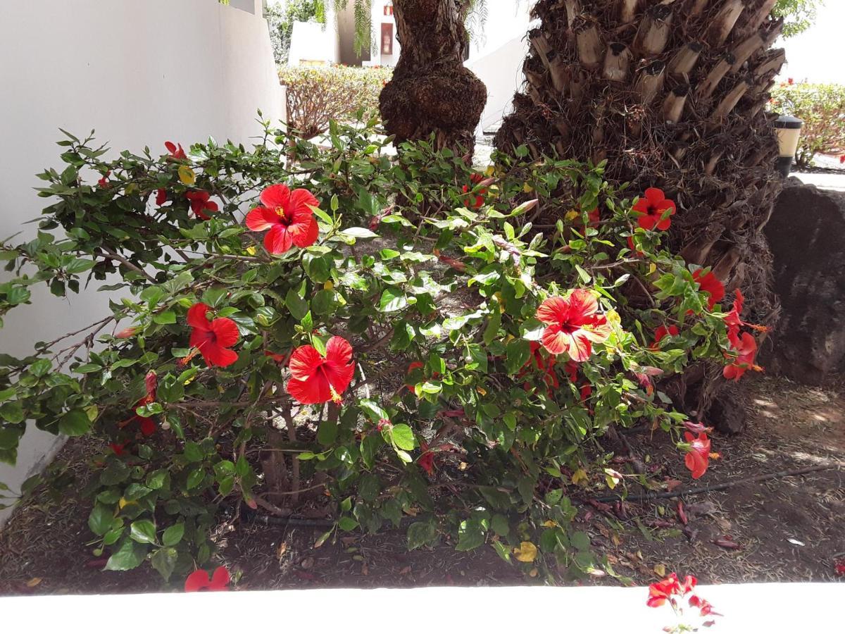 Apartamento Le Parisien Costa Teguise Exterior foto
